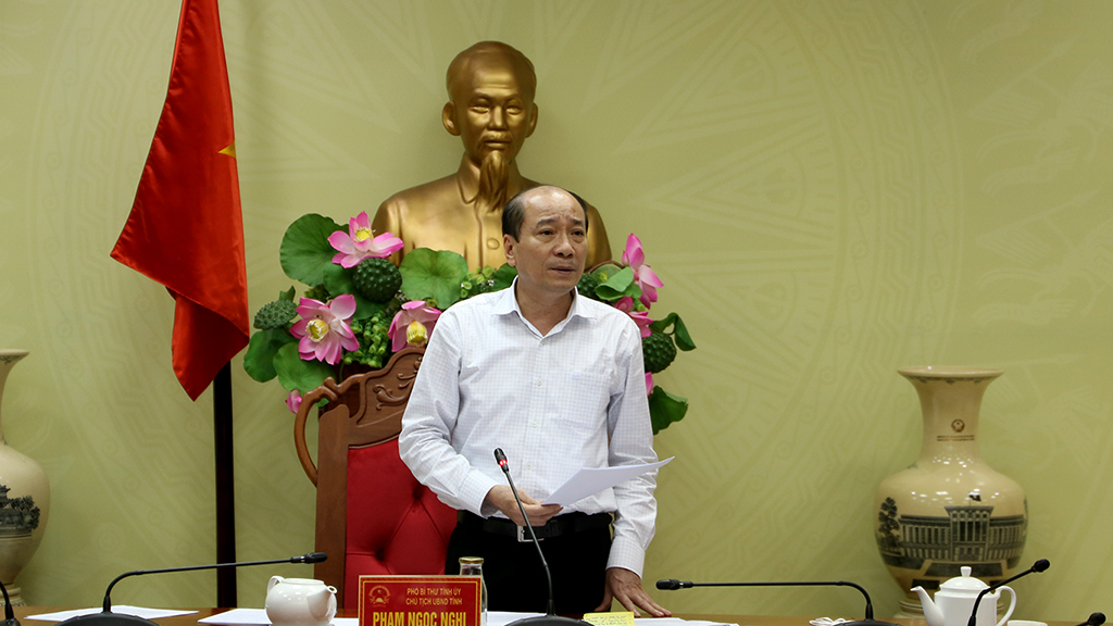 Đồng chí Phạm Ngọc Nghị - Phó Bí thư Tỉnh ủy, Chủ tịch UBND tỉnh kết luận cuộc họp.