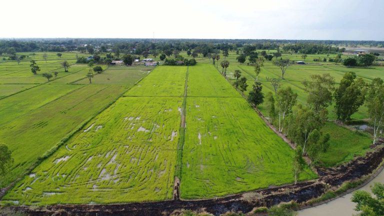 Người giàu không lo thuế bất động sản thứ hai