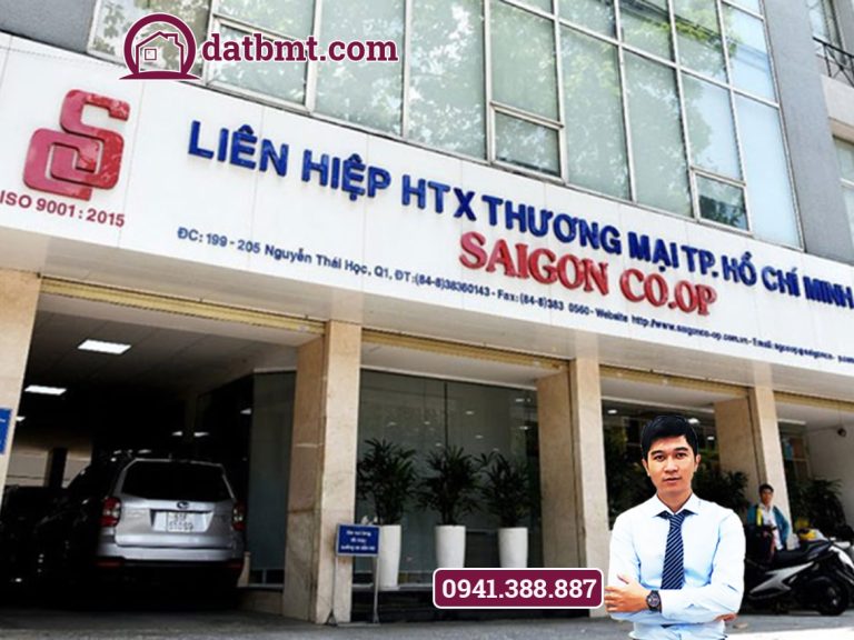 Cho Liên hiệp Hợp tác xã thương mại thành phố Hồ Chí Minh thuê đất